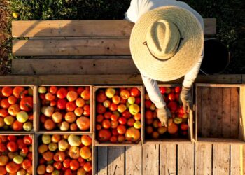 NECESARIO FORMAR UN FRENTE COMÚN ANTE IMPOSICIÓN DE ARANCELES AGRÍCOLAS