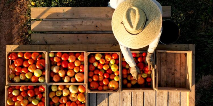 NECESARIO FORMAR UN FRENTE COMÚN ANTE IMPOSICIÓN DE ARANCELES AGRÍCOLAS