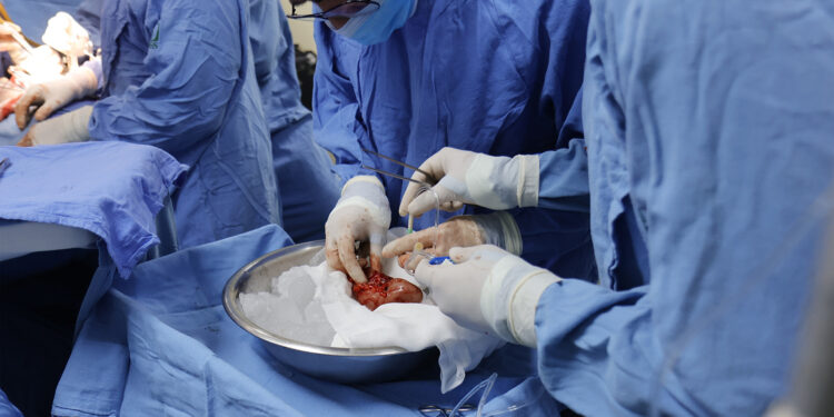 Especialistas del HGR No.1 del IMSS Sinaloa realizan doble   trasplante de riñón