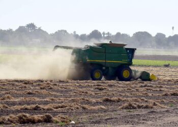AGRÓNOMOS EGRESADOS DE UAM-XOCHIMILCO, OFRECEN PARTICIPAR EN PROGRAMAS DE PRODUCTIVIDAD EN ALIMENTOS DEL CAMPO