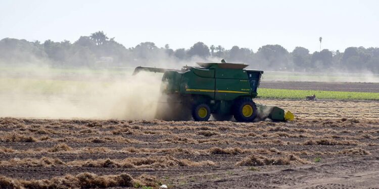 AGRÓNOMOS EGRESADOS DE UAM-XOCHIMILCO, OFRECEN PARTICIPAR EN PROGRAMAS DE PRODUCTIVIDAD EN ALIMENTOS DEL CAMPO