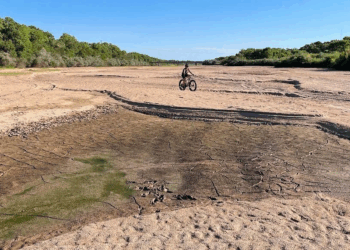 Sequía en la Cuenca del Río Bravo deja sin siembra a 200 mil hectáreas