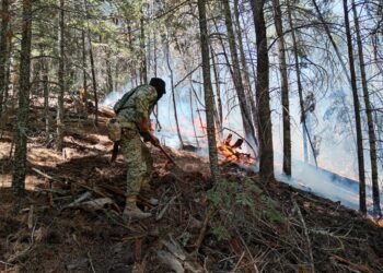 Defensa refuerza las labores de combate a un incendio forestal en la zona de Mesa Bonita, municipio de Ocampo.