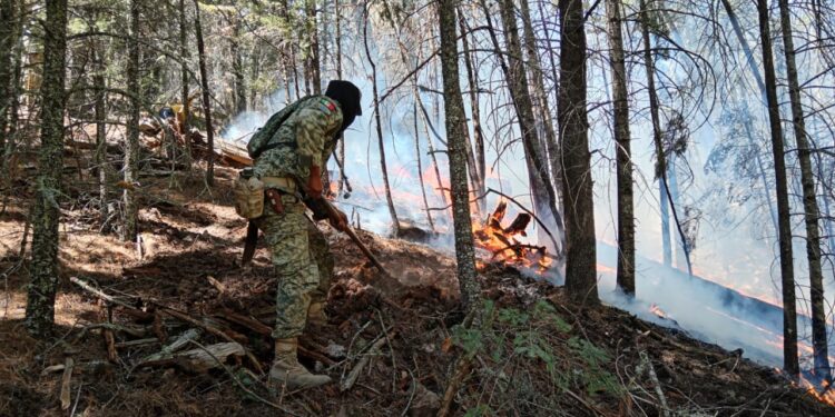 Defensa refuerza las labores de combate a un incendio forestal en la zona de Mesa Bonita, municipio de Ocampo.