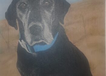 De Hobby a Corazón Solidario: María de los Dolores Ocampo Rangel