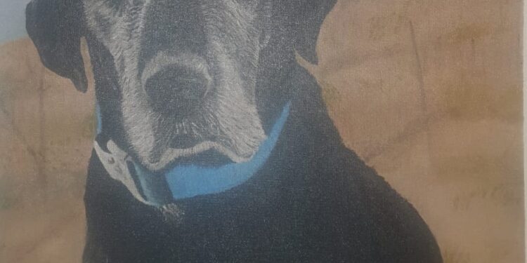 De Hobby a Corazón Solidario: María de los Dolores Ocampo Rangel