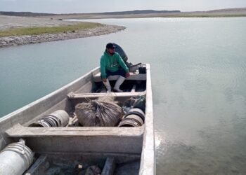 FOTO TOMADA POR JOSUÉ RODRIGUEZ