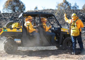 DETIENEN A CAUSANTE DE INCENDIO FORESTAL EN ARTEAGA