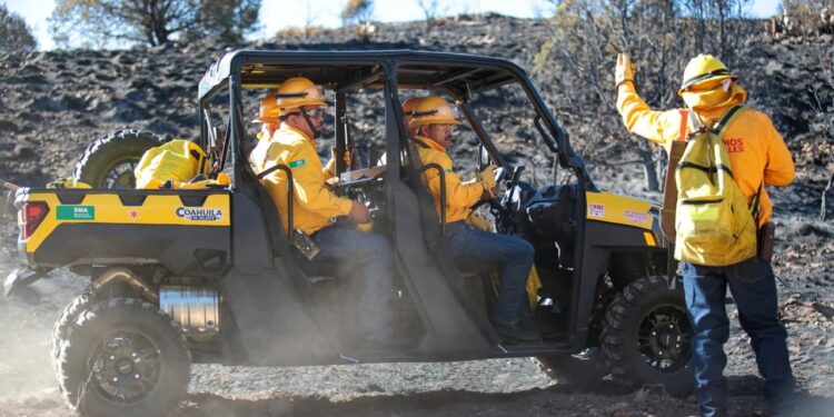 DETIENEN A CAUSANTE DE INCENDIO FORESTAL EN ARTEAGA