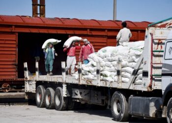 PRODUCTORES NACIONALES DE GRANOS EXIGEN CUMPLIMIENTO DE PAGOS Y MEDIDAS CONTRA ARANCELES ESTADOUNIDENSES