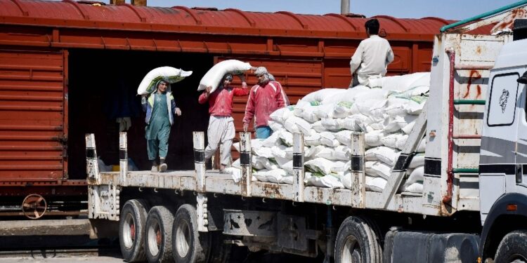 PRODUCTORES NACIONALES DE GRANOS EXIGEN CUMPLIMIENTO DE PAGOS Y MEDIDAS CONTRA ARANCELES ESTADOUNIDENSES