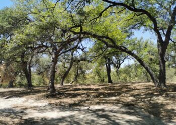 Refuerzan vigilancia en centros recreativos naturales