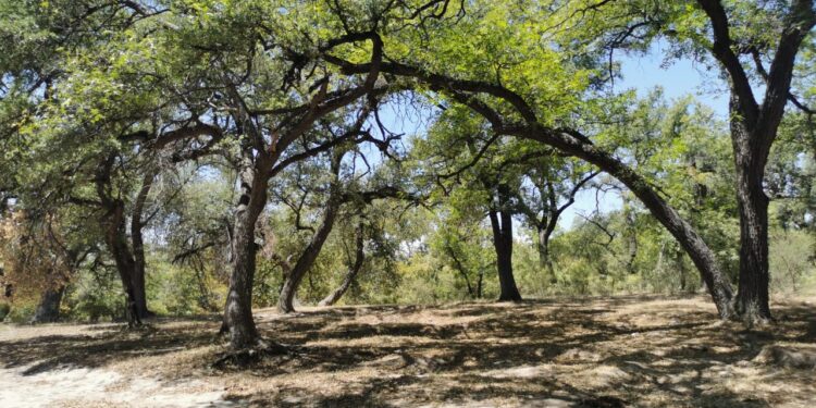 Refuerzan vigilancia en centros recreativos naturales