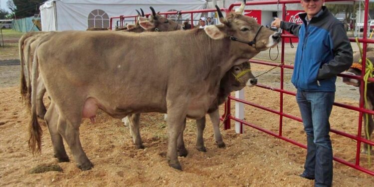 EN RIESGO ABASTO NACIONAL DE CARNE POR GUSANO BARRENADOR: OCAÑA ROMO
