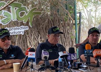 ALREDEDOR DE 700 ANIMALES SILVESTRES EMPRENDERÁN EL ÉXODO MÁS GRANDE DE LA HISTORIA