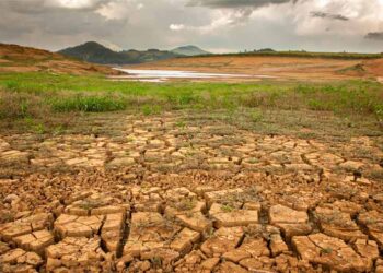 COMUNIDAD CLIMÁTICA MEXICANA PRESENTA HERRAMIENTA PARA IMPULSAR EL FINANCIAMIENTO CLIMÁTICO EN PROYECTOS DE GOBIERNOS SUBNACIONALES
