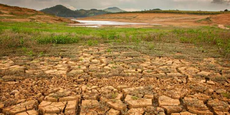 COMUNIDAD CLIMÁTICA MEXICANA PRESENTA HERRAMIENTA PARA IMPULSAR EL FINANCIAMIENTO CLIMÁTICO EN PROYECTOS DE GOBIERNOS SUBNACIONALES