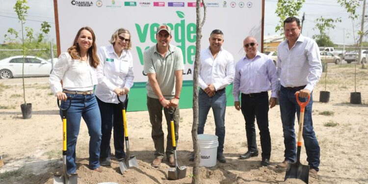 CON «VERDE VERDE COAHUILA» SEMBRAMOS 20 MIL ÁRBOLES EN LOS 38 MUNICIPIOS: MANOLO