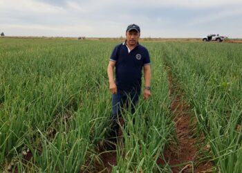PRODUCTORES AGRÍCOLAS ENFRENTAN EMBESTIDA DE DEMANDAS POR ADEUDOS CON EXTINTA FINANCIERA RURAL
