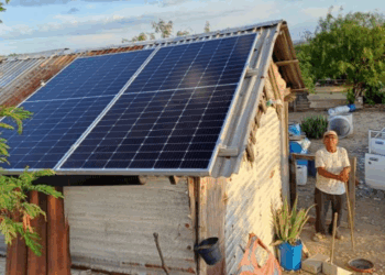 Xignux comparte resultados de su Informe de Sostenibilidad 2024