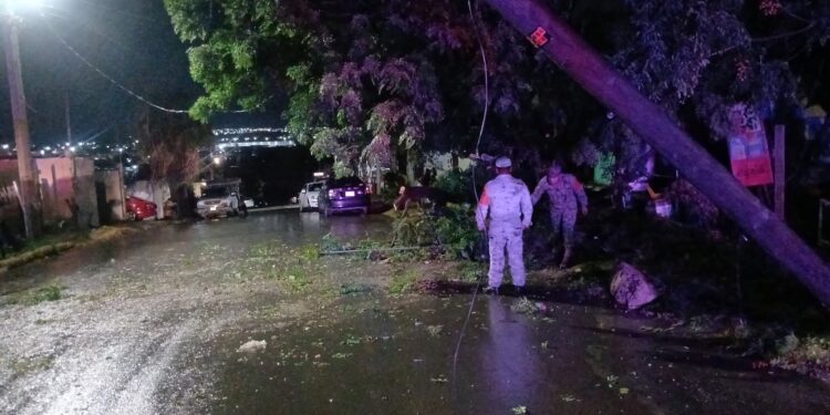 Dejan tormentas fuertes en Acuña fugas de gas, techos y arboles caídos