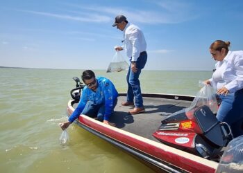 COAHUILA FOMENTA LA ACTIVIDAD PESQUERA CON REPOBLACIÓN EN PRESAS