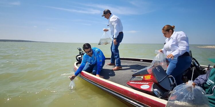 COAHUILA FOMENTA LA ACTIVIDAD PESQUERA CON REPOBLACIÓN EN PRESAS