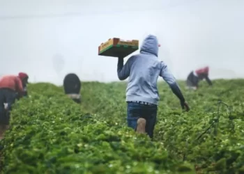 Confirman 20 Casos de Sarampión en Jornaleros Agrícolas de Nava