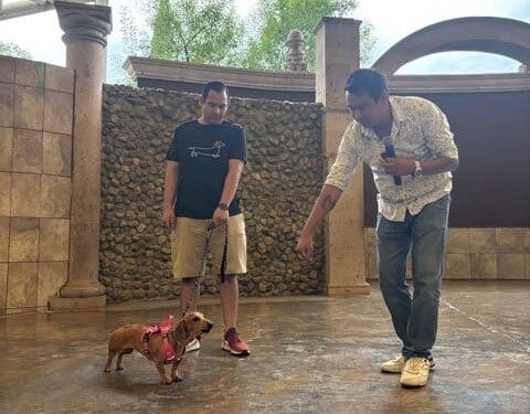 FAMILIAS COAHUILENSES PARTICIPAN EN TALLER DE ADIESTRAMIENTO Y VACUNACIÓN GRATUITA PARA MASCOTAS