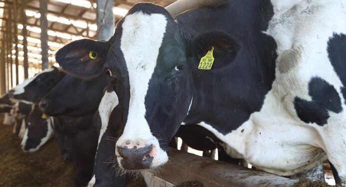 CAE VALOR DE EXPORTACIONES AGROALIMENTARIAS MÁS DE MIL MILLONES DE DÓLARES AL PRIMER SEMESTRE