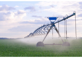 NECESARIO USO DE TECNOLOGÍA PARA ENFRENTAR FALTA DE AGUA EN LA PRODUCCIÓN DE ALIMENTOS