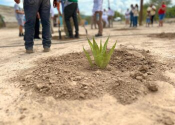 Arca Continental reforestará con maguey para reabastecer más de 300 millones de litros de agua al año en Coahuila