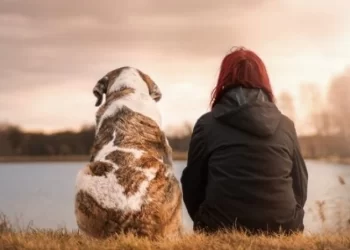 ¿Somos su mejor amigo?