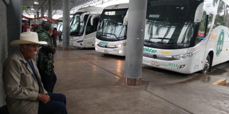 Descuentos para paseantes vigentes hasta el 1 de septiembre: SICT