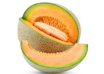 La veriedad Melón Cantaloupe, un orgullo lagunero y estrella de la parrilla