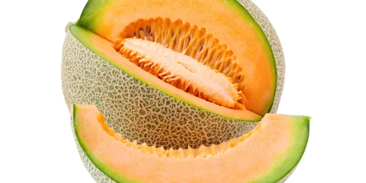 La veriedad Melón Cantaloupe, un orgullo lagunero y estrella de la parrilla