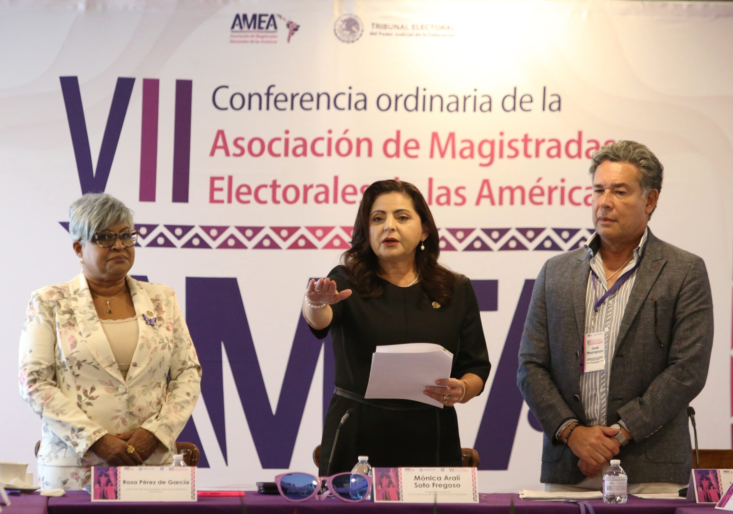 Mónica Aralí Soto es la nueva presidenta de la AMEA