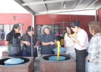 «ARTE Y COLOR: ARTESANOS DE SALTILLO APRENDEN TÉCNICAS DE TINTES NATURALES CON EXPERTA INTERNACIONAL»