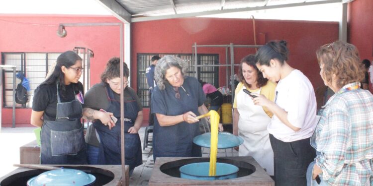 «ARTE Y COLOR: ARTESANOS DE SALTILLO APRENDEN TÉCNICAS DE TINTES NATURALES CON EXPERTA INTERNACIONAL»