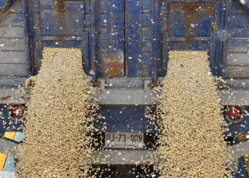 INCERTIDUMBRE REGULATORIA Y POLÍTICA LIMITA CONFIANZA EMPRESARIAL EN MÉXICO