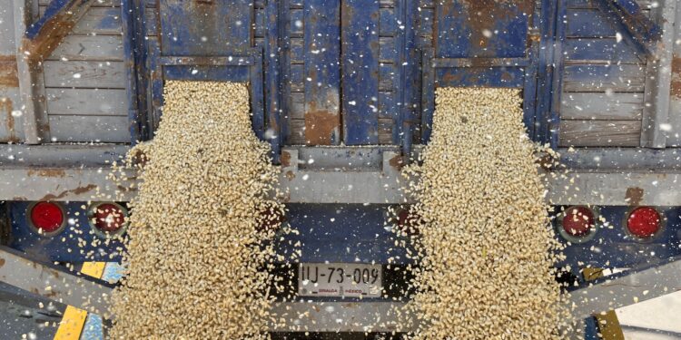 INCERTIDUMBRE REGULATORIA Y POLÍTICA LIMITA CONFIANZA EMPRESARIAL EN MÉXICO