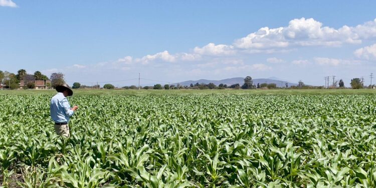 COMPARTE LA UMFFAAC COMPROMISO DEL GOBIERNO POR TENER MEJORES FITOSANITARIOS EN AGRICULTURA