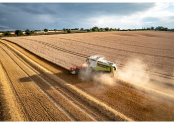 NECESARIO FORTALECER PROGRAMAS DE APOYO A LA PRODUCTIVIDAD DEL CAMPO