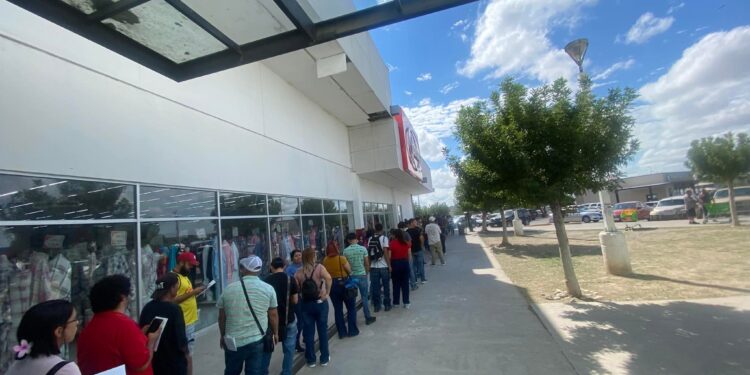 Hasta 750 empleados liquida por semana Arneses y Accesorios en Acuña