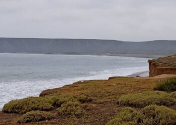 Punta Colonet: un paraíso amenazado (Video)