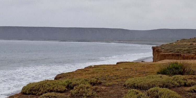 Punta Colonet: un paraíso amenazado (Video)
