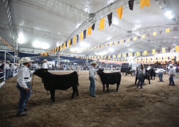 ESPECTACULAR INICIO DEL RODEO SALTILLO 2025