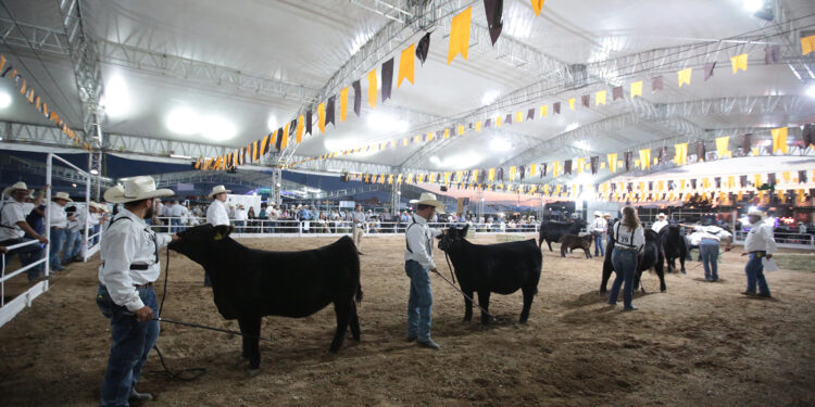 ESPECTACULAR INICIO DEL RODEO SALTILLO 2025