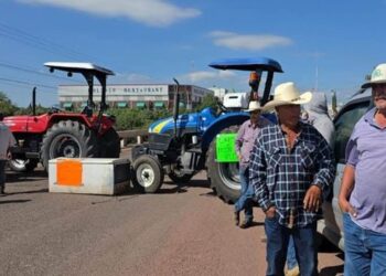 PRODUCTORES AGRÍCOLAS DE 20 ESTADOS, DECIDEN PARO DE ACTIVIDADES