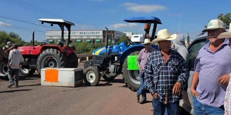 PRODUCTORES AGRÍCOLAS DE 20 ESTADOS, DECIDEN PARO DE ACTIVIDADES